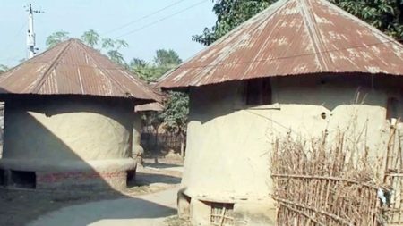 paddy granaries