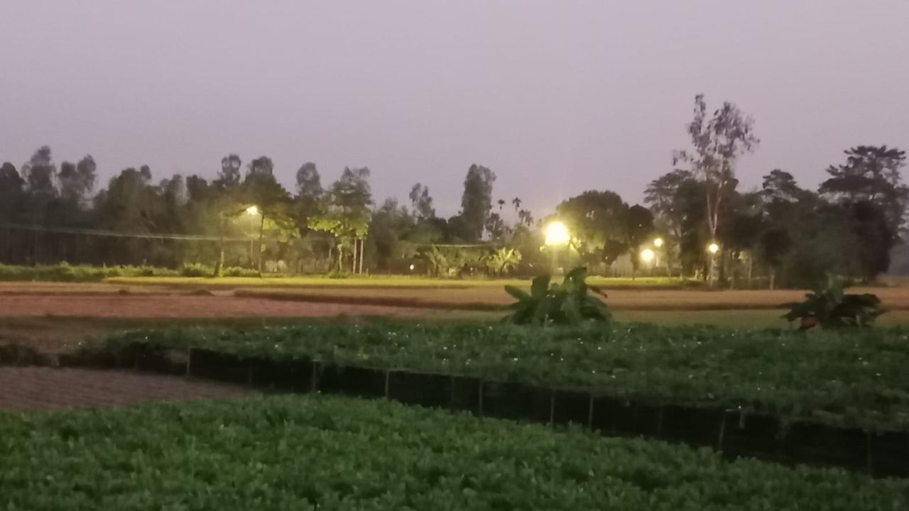 Bangladesh-India border in Kurigram: Searchlights damage crops