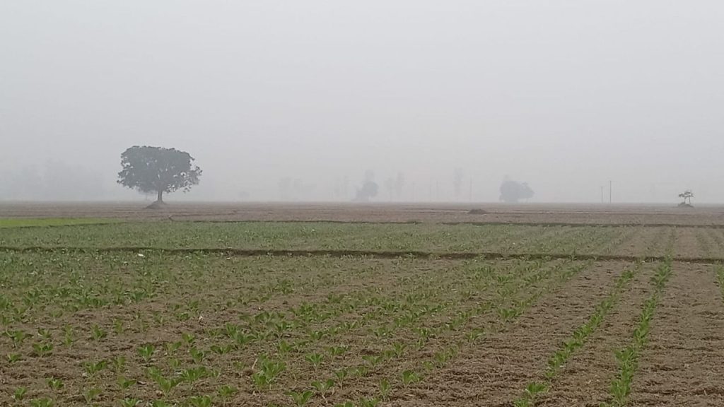 Panchagarh shivers in cold despite rise in temperature Panchagarh cold wave