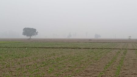 Panchagarh cold wave