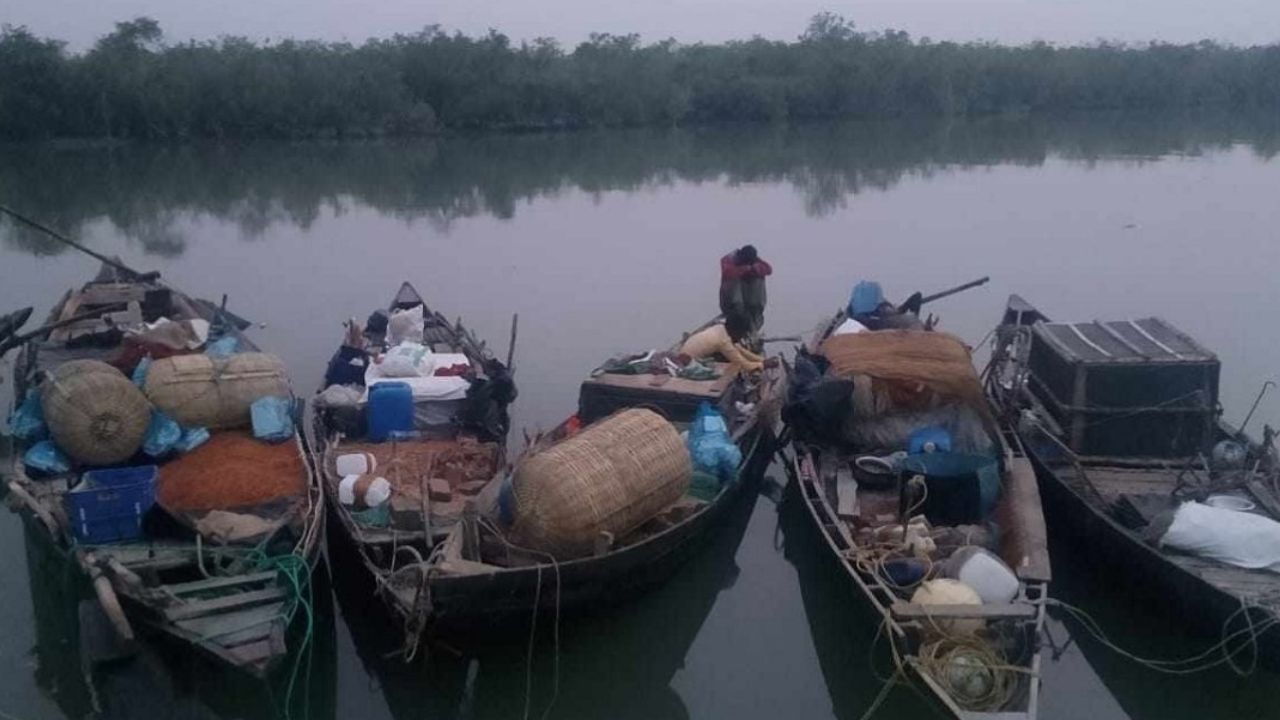Crab harvesting ban starts in Sundarbans