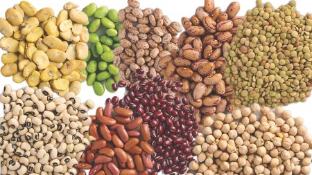 nutrition of beans