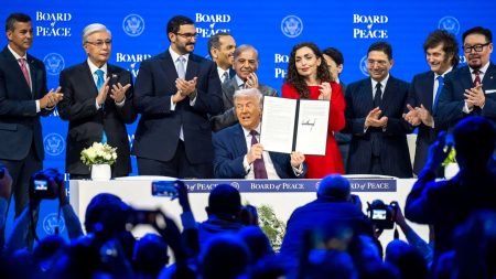 Can the Board of Peace decentralise diplomacy? Board of Peace