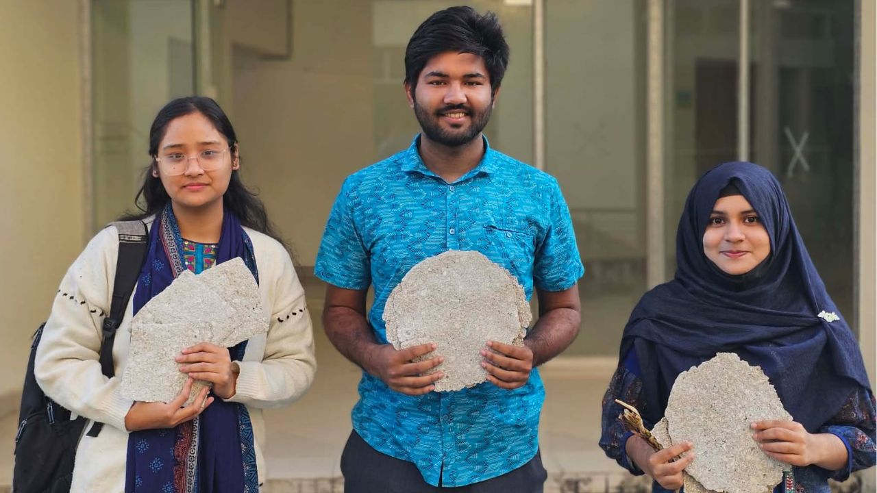 CU students turn invasive weeds into high-quality paper