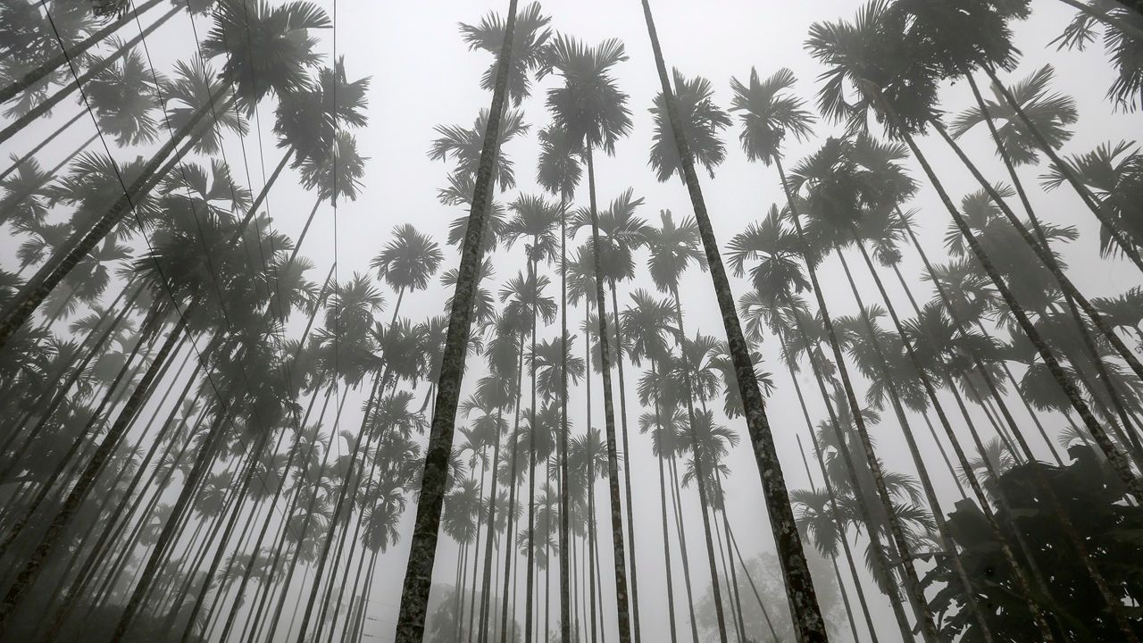 Dense fog, bitter cold paralyse life, turning roads deadly