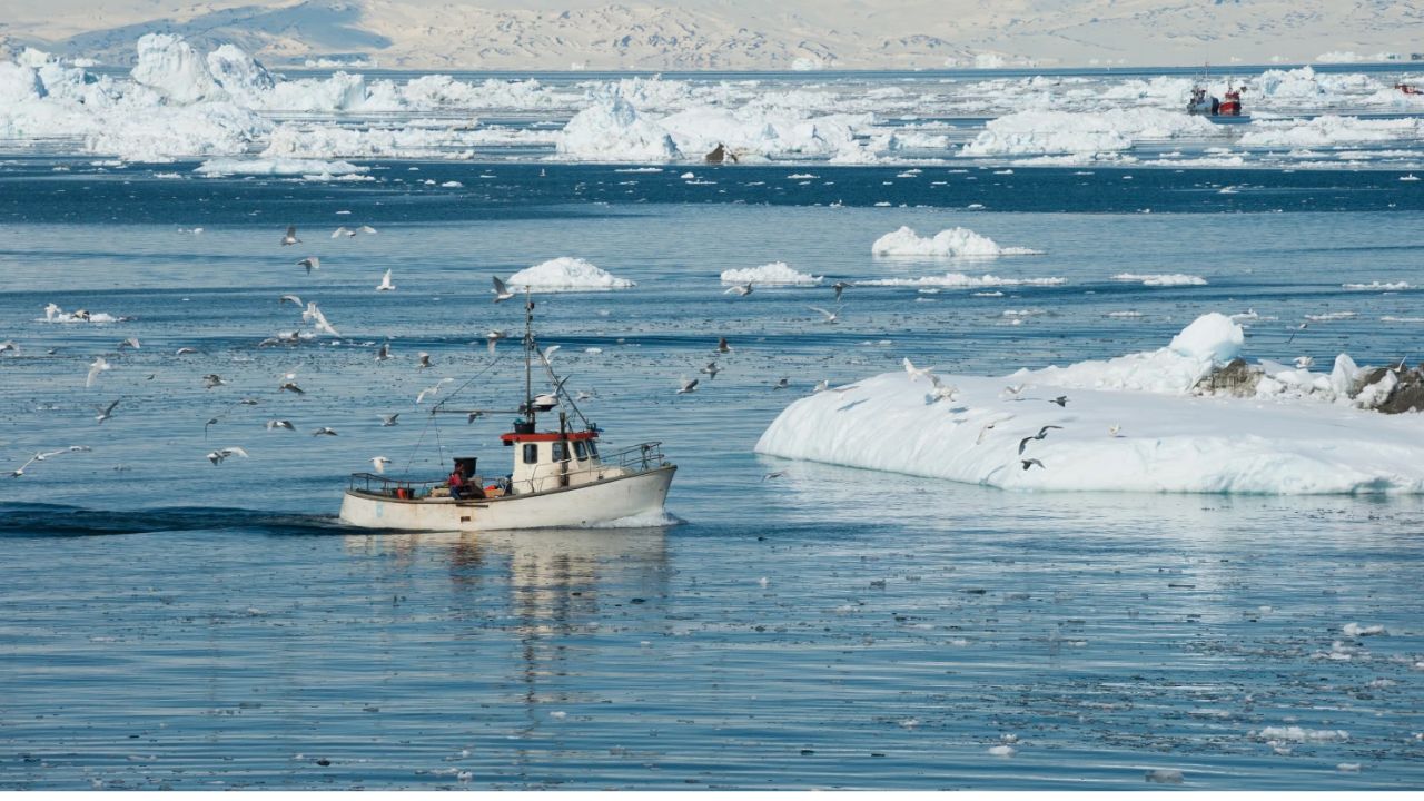 What makes Greenland attractive