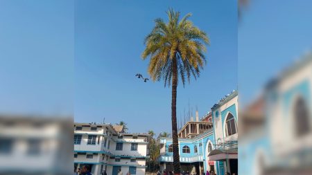 Jalali