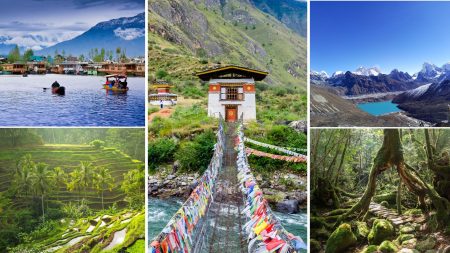 Rediscovering nature as therapy Natural Therapy