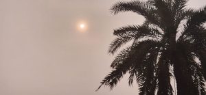 Natore winter