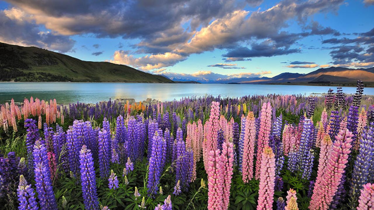 Shake off winter with these soulful sunshine escapes
