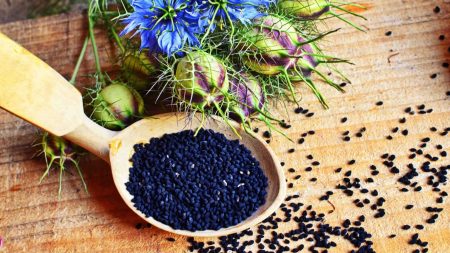 Nigella Seeds