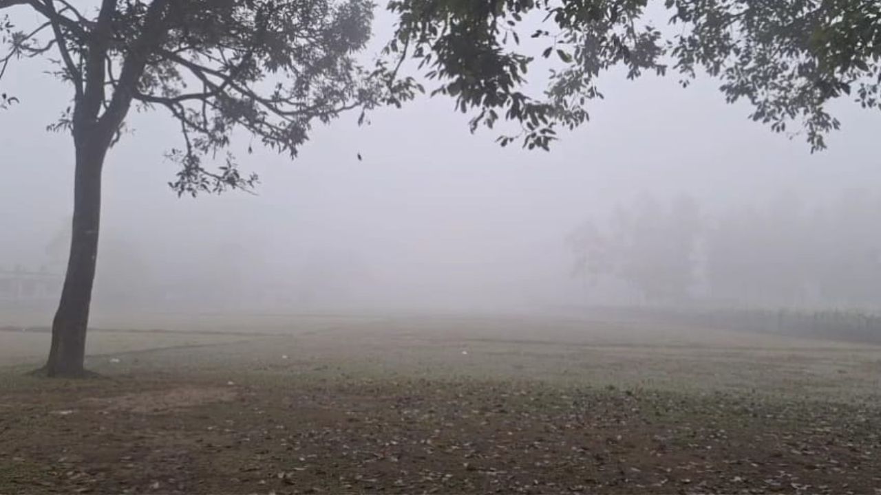 Mild cold wave sweeps across several districts