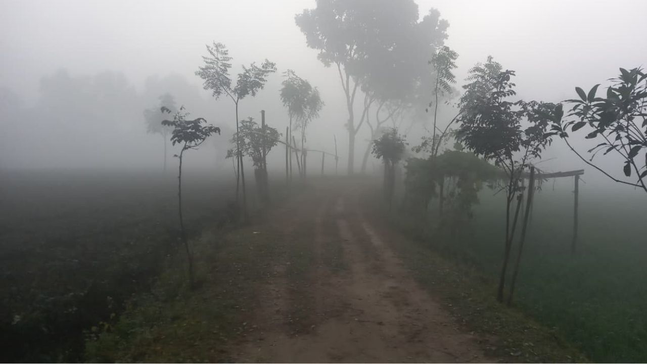 Panchagarh records lowest temperature for 5th straight day