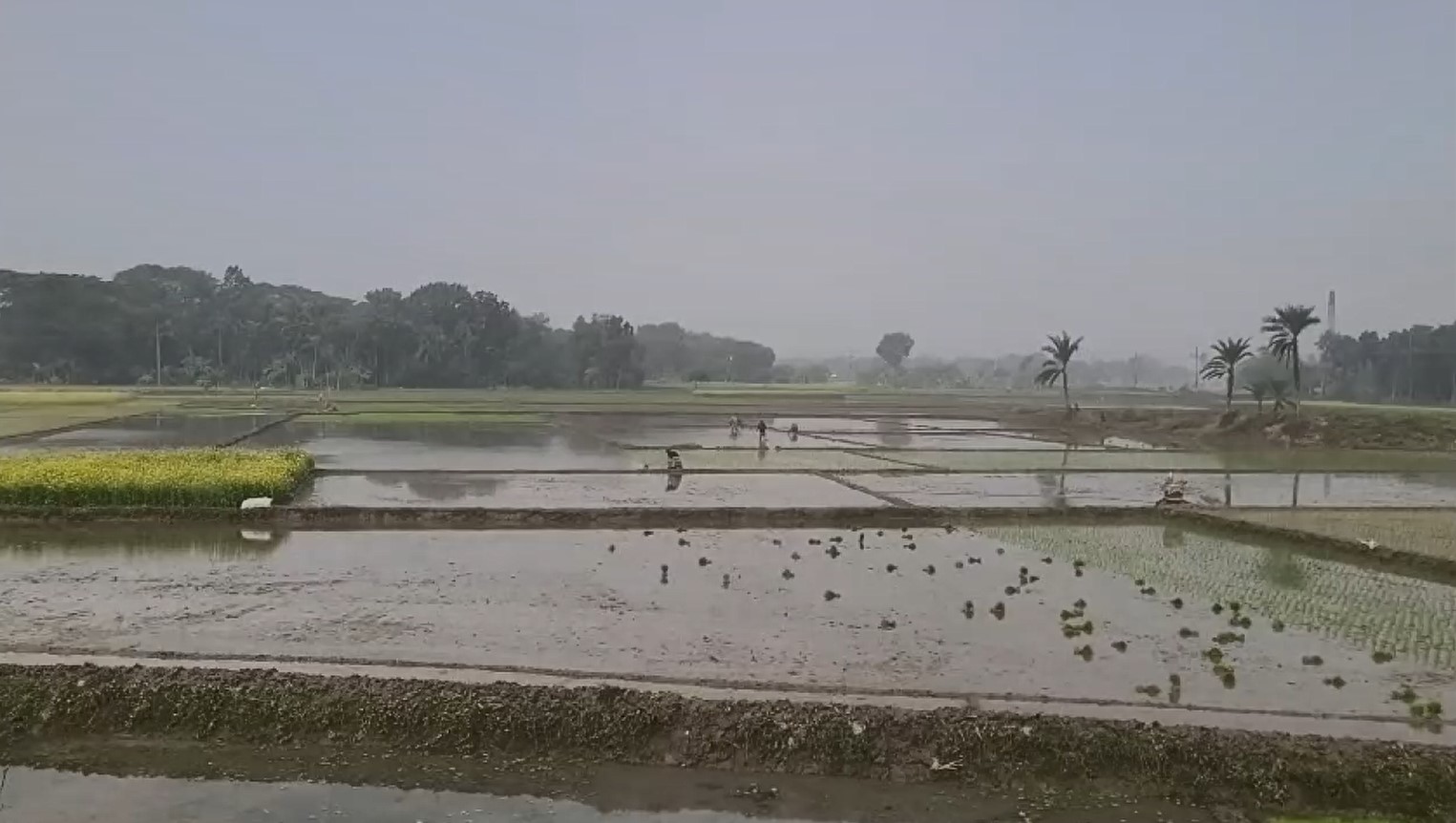 Satkhira