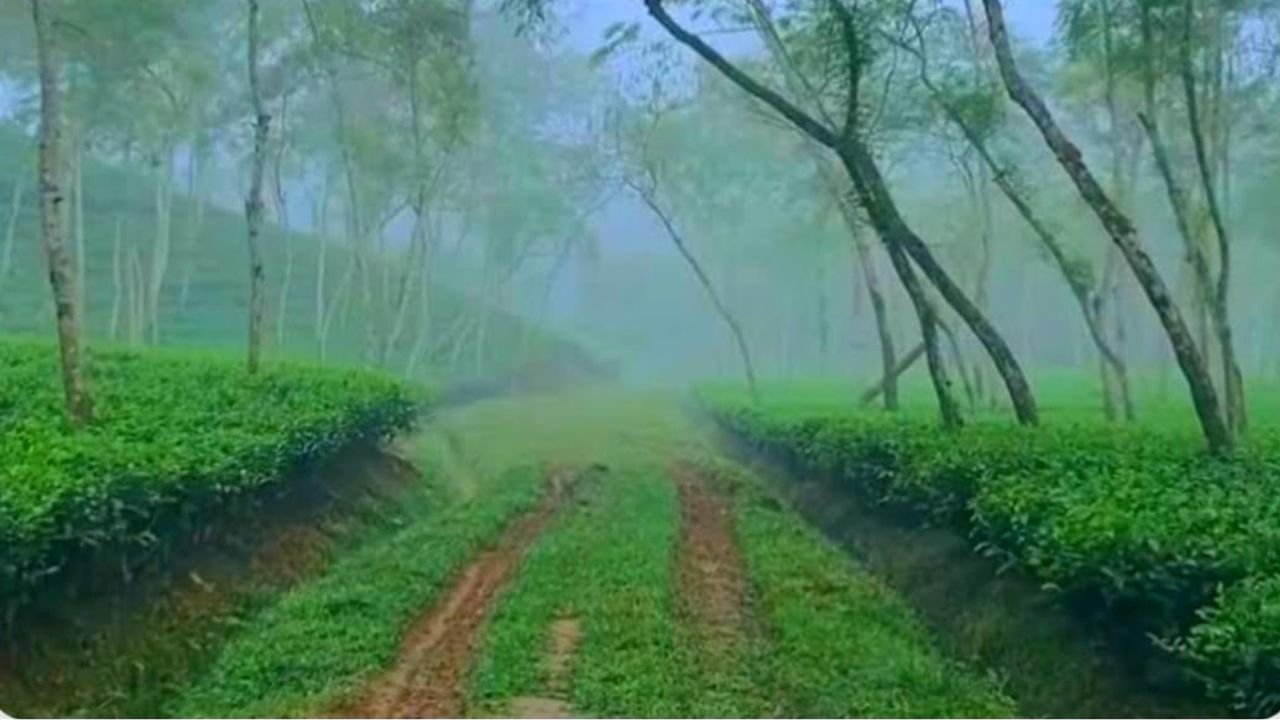 Sreemangal records lowest temperature