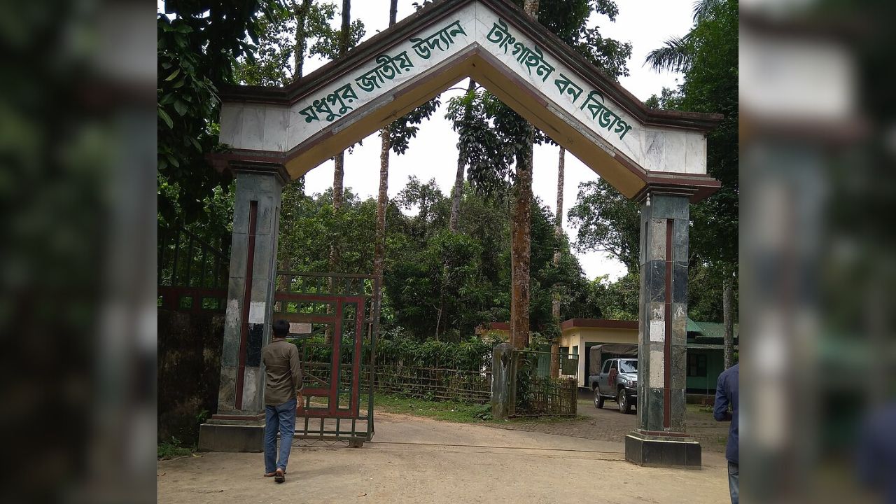 88 cases withdrawn, 387 acquitted in Madhupur