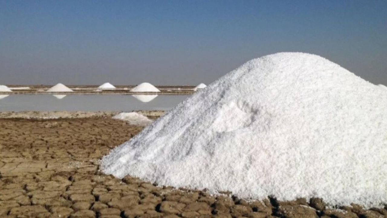 247 institutions allowed to import 100,000 tonnes of salt
