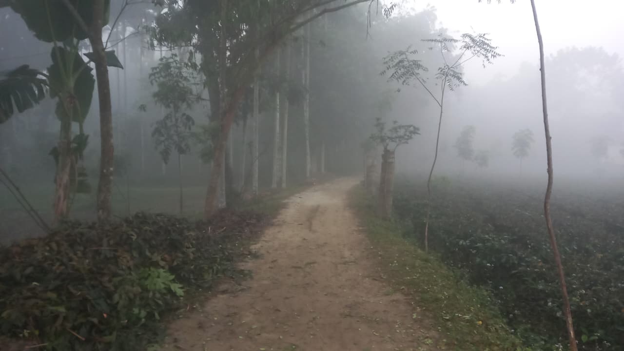 Panchagarh records lowest temperature