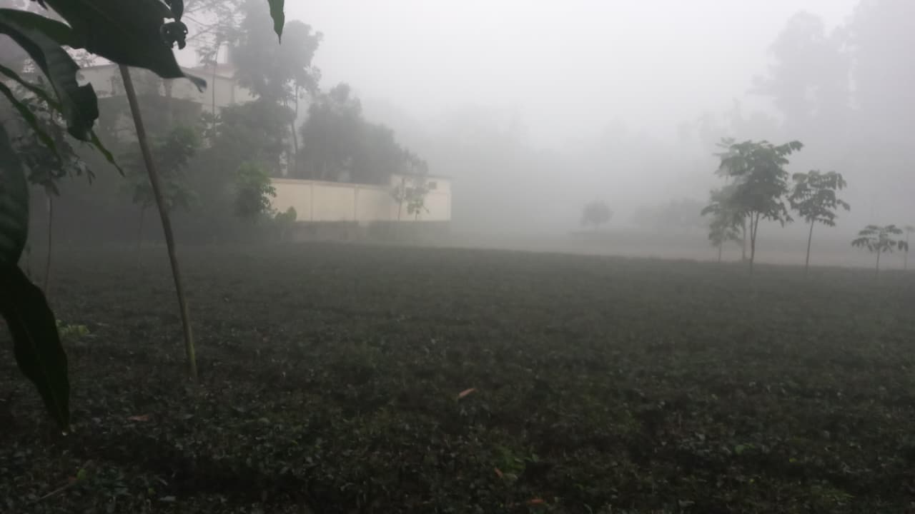 Panchagarh records lowest temperature
