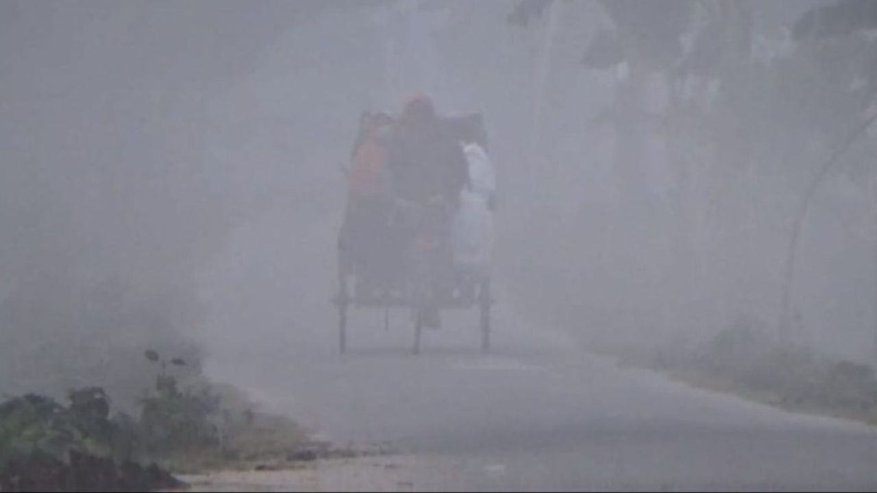 Blinding fog and cold wave paralyse north with no respite in sight