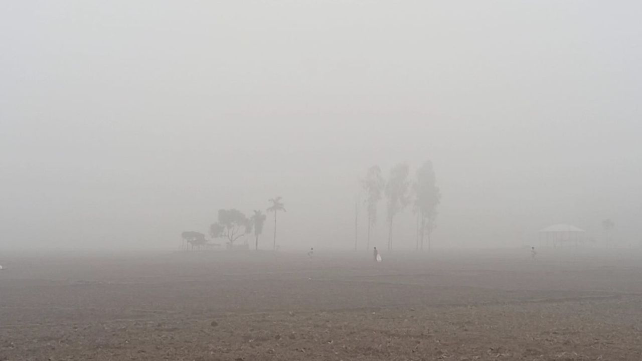 Mild cold wave sweeps northern districts; Tetulia records 7.3°C