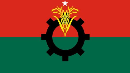 BNP flag