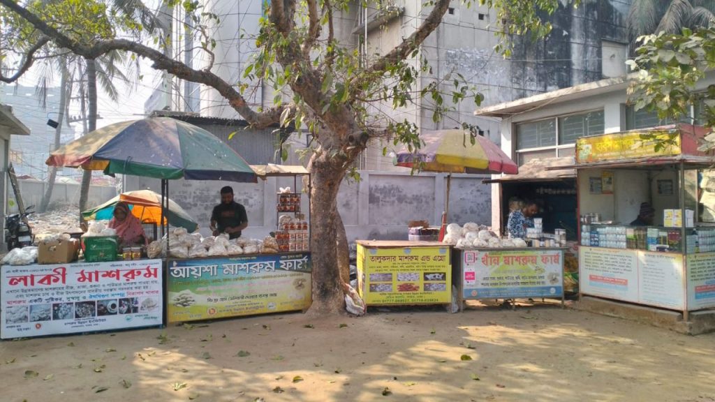 Wholesale mushroom market booms in Savar