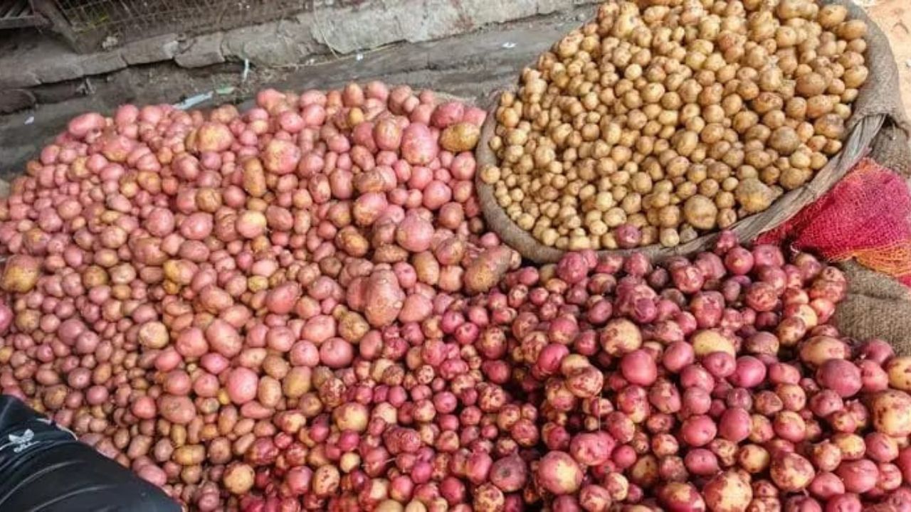 Price surge hits new potato sales in Dinajpur