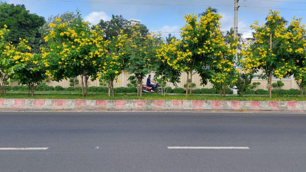 Kushtia streets