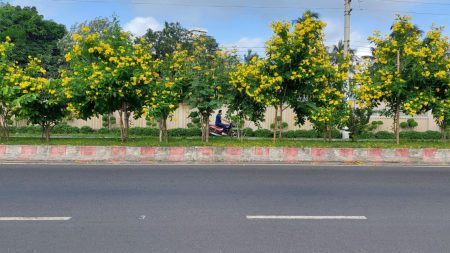 Kushtia streets