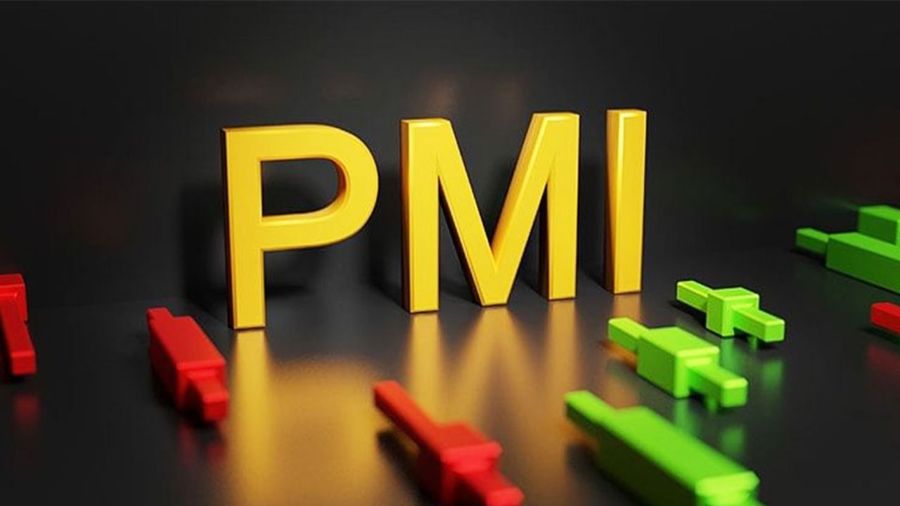 PMI shows slower economic growth in January