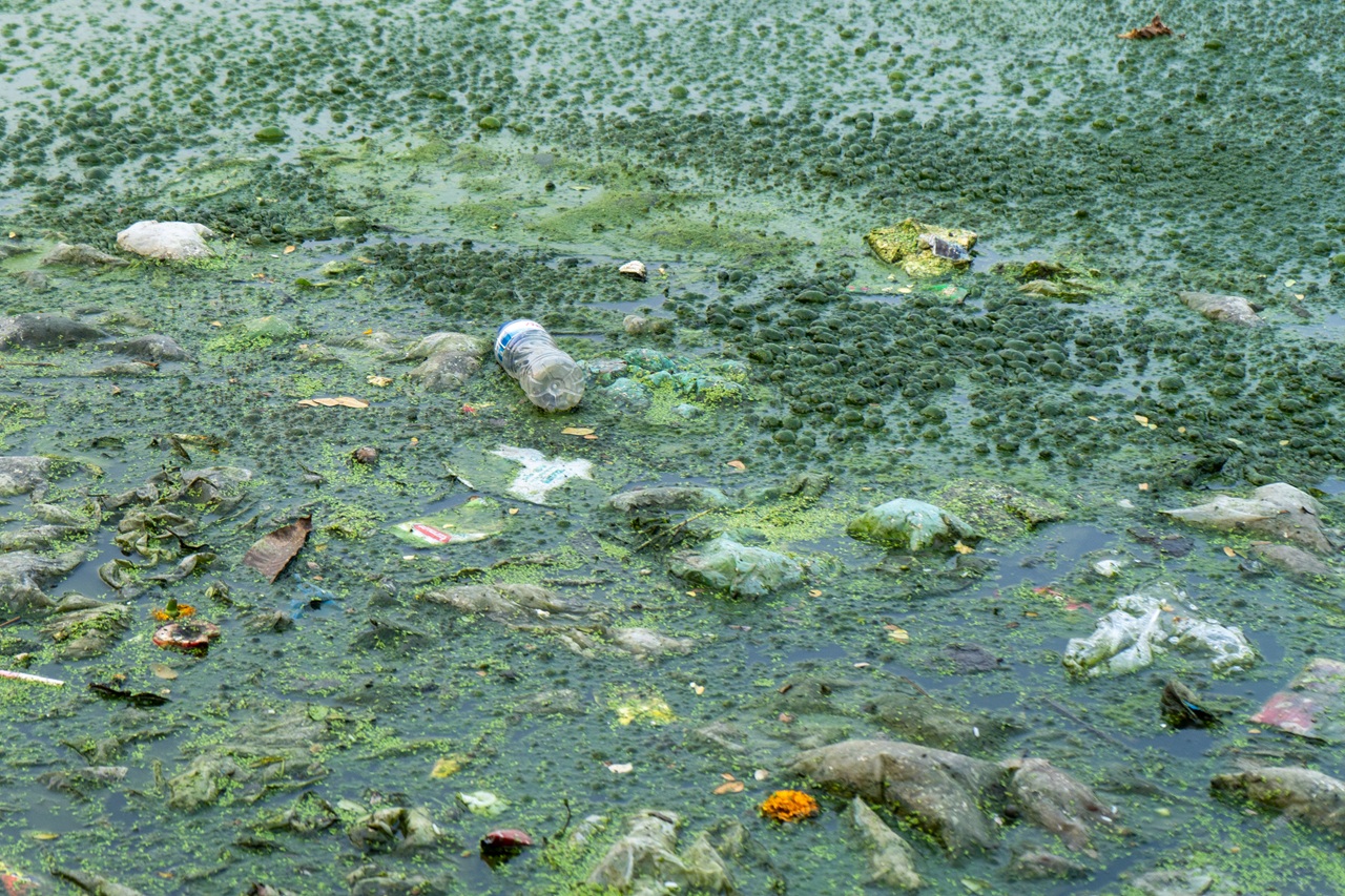 Ashkar Dighi