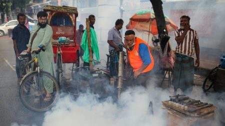 Govt ramps up dengue fight amid mosquito surge Dengue