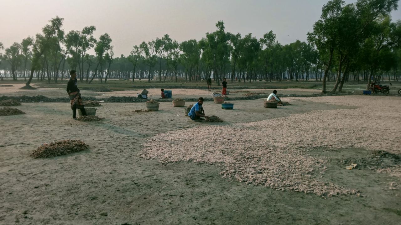 Hatiya’s dried fish industry booms as child labour concerns rise