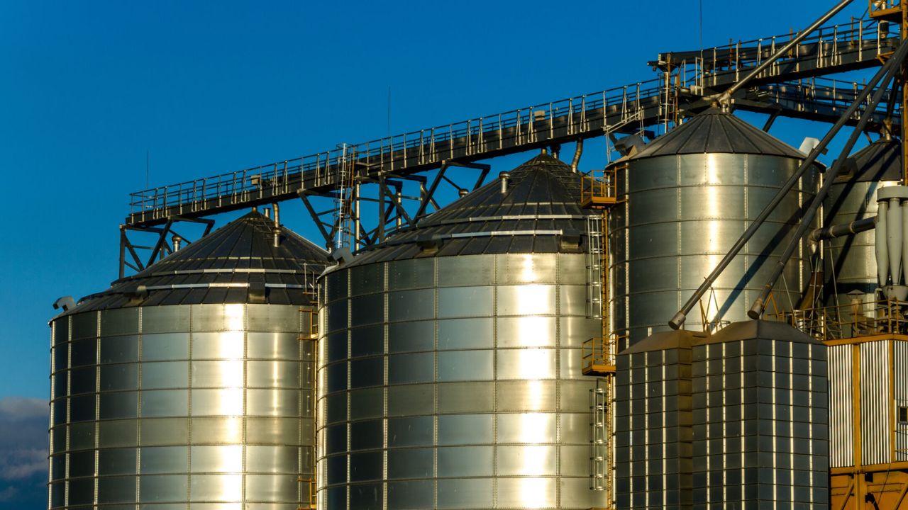 National Feed returns to profit