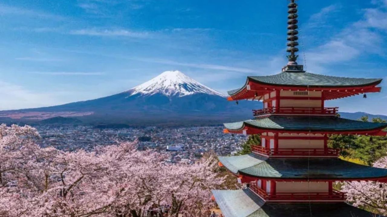 Mount Fuji cherry blossom festival called off, citing overtourism