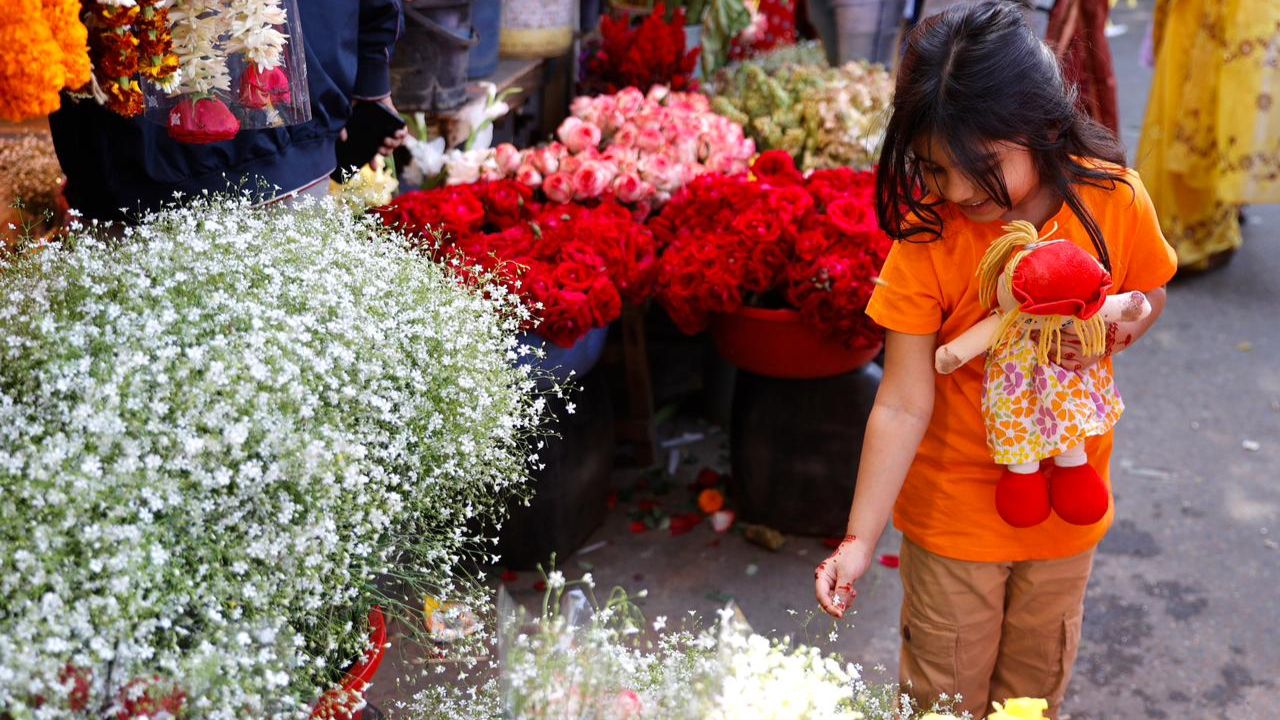 Spring arrives in Dhaka