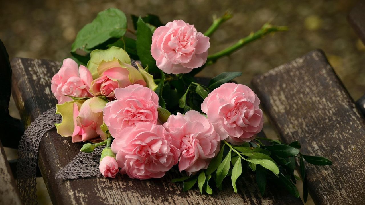 Miami airport cargo hub drives Valentine’s flower surge