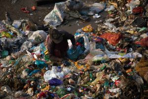 monthly waste fees