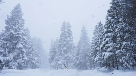 California avalanche