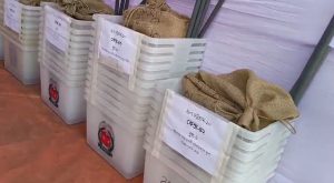 ballot boxes