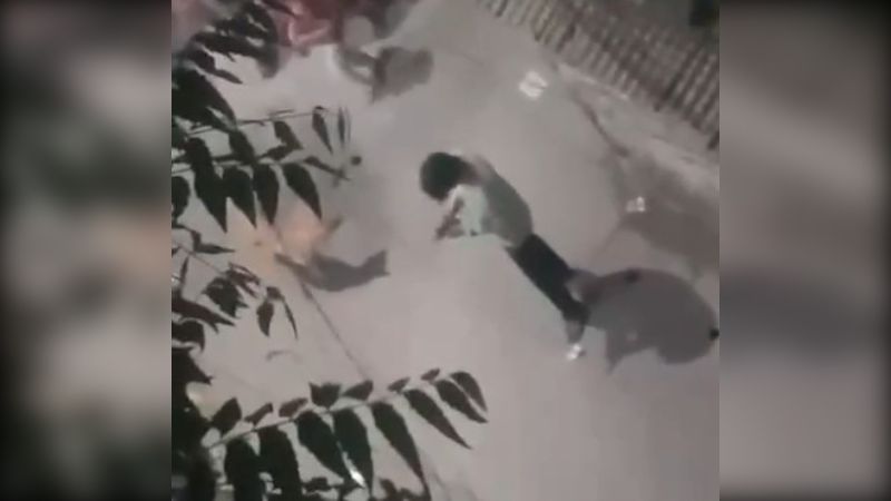 siam-murderer