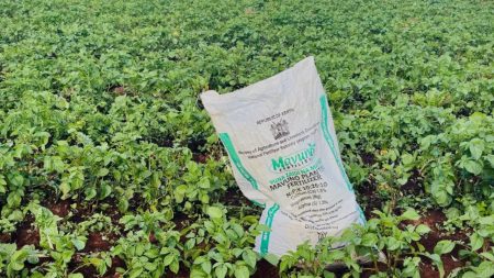 Russia offers urea fertiliser at $10 below rival prices fertilizer crisis
