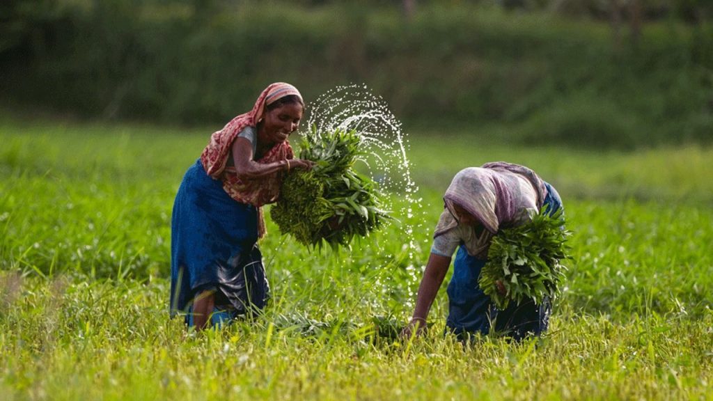 agriculture budget FY27