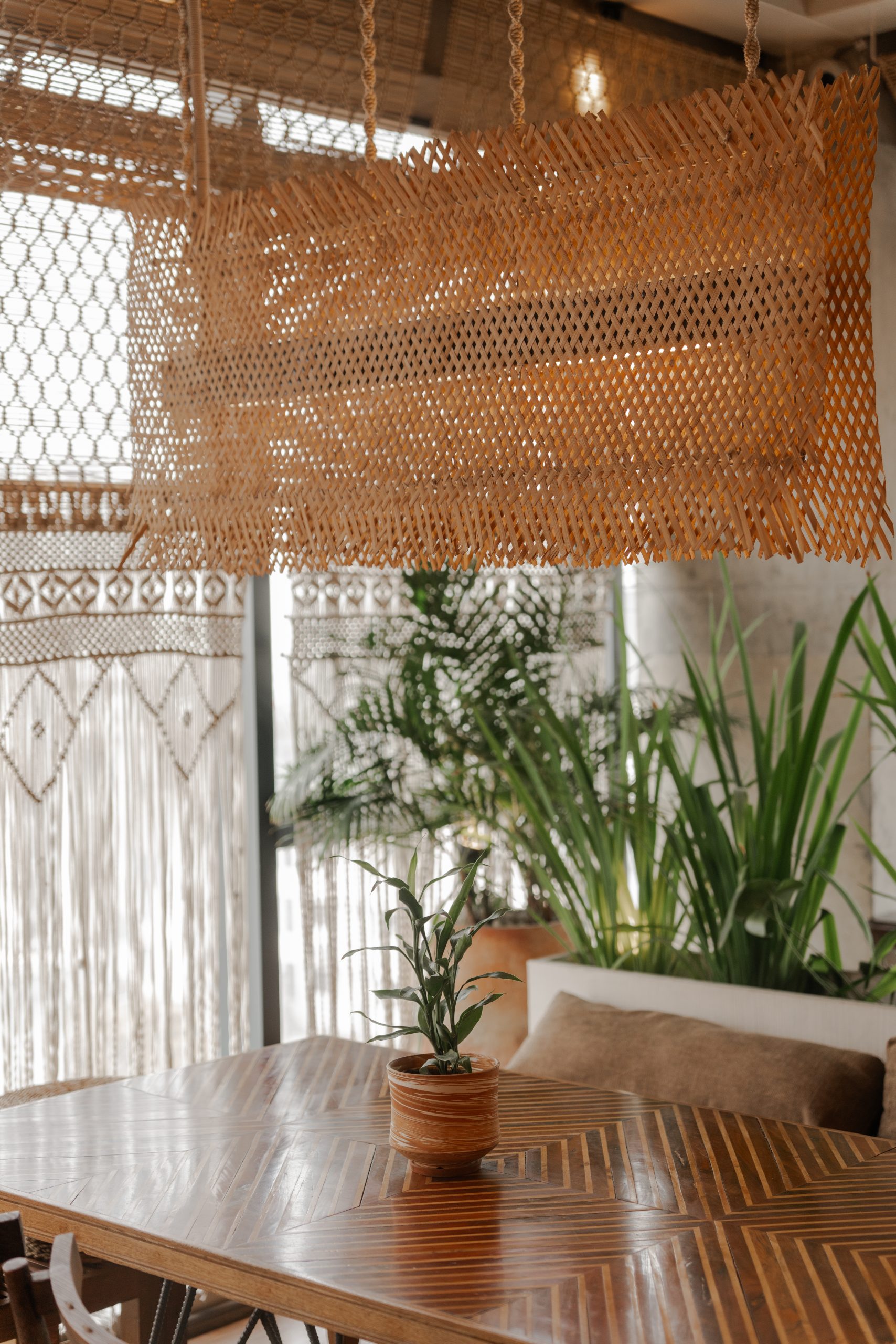 BOHO