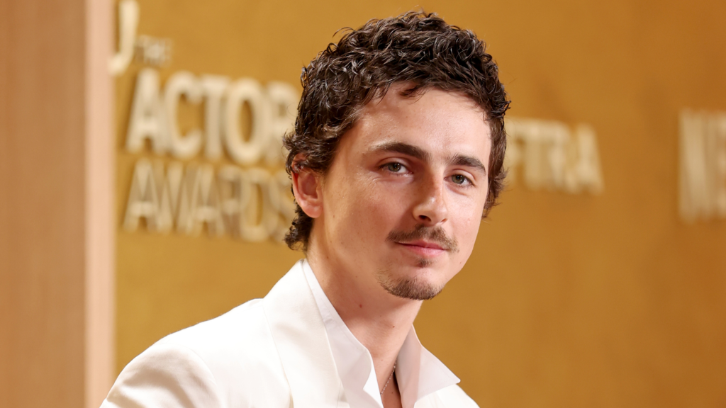 Timothée Chalamet sparks debate after comments on opera and ballet