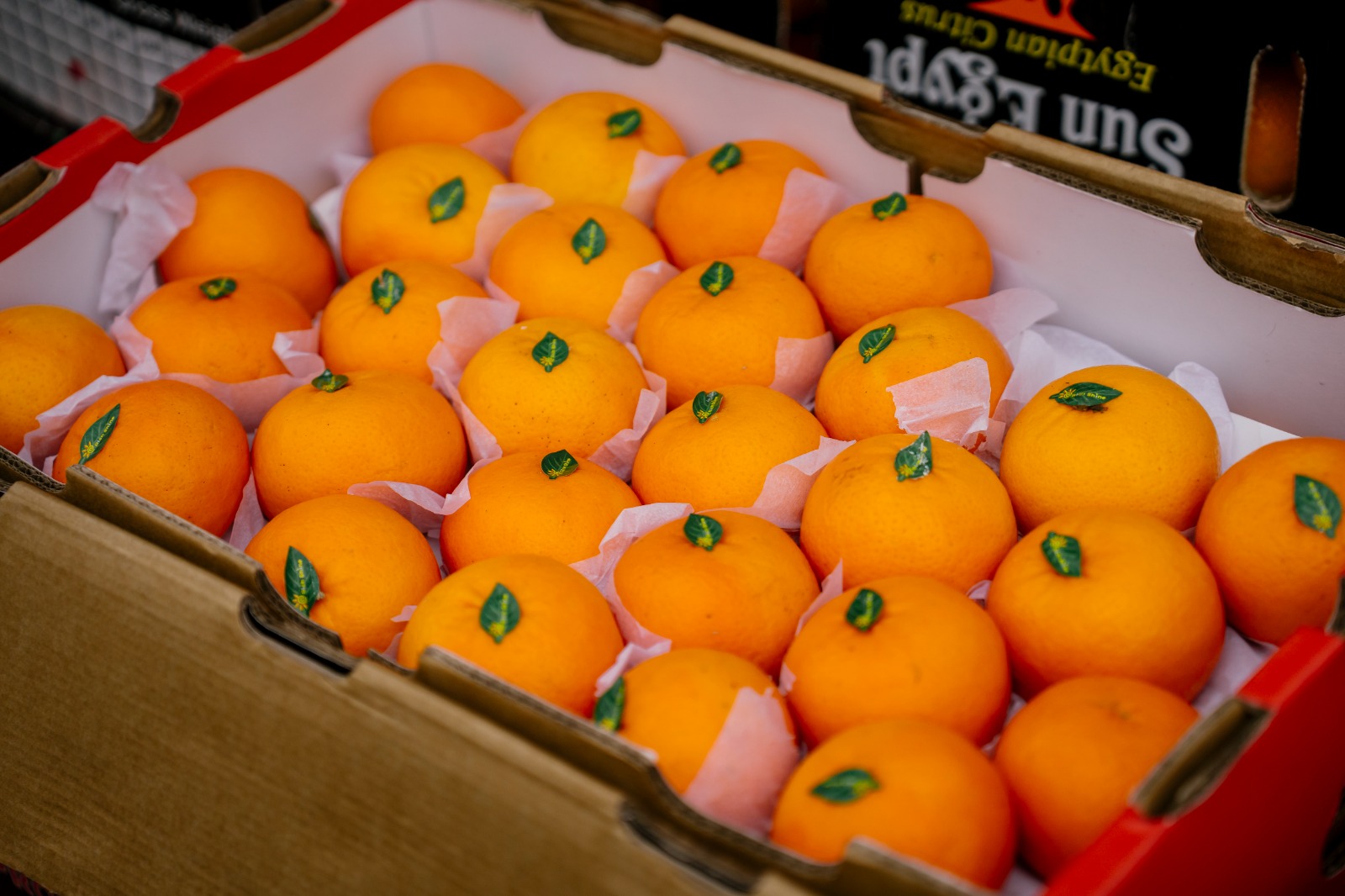 Fruit_market