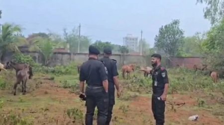 Horse meat sold as beef in Rupganj Horse meat sold