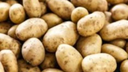 Vietnam opens its market to Bangladeshi potatoes Vietnam approved Bangladesh potatoes