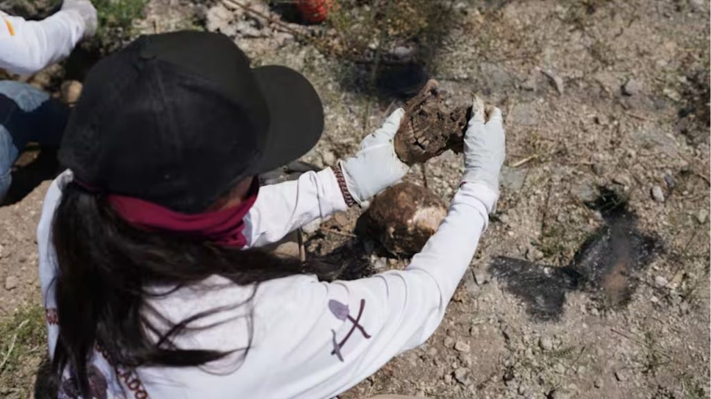 Mexico disappearance crisis probe ongoing